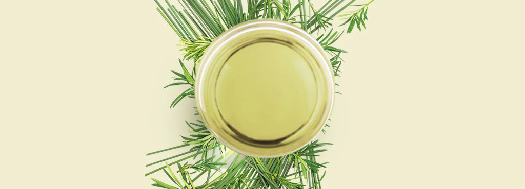 7 Reasons To Include Tea Tree Oil In Your Hair Care Routine