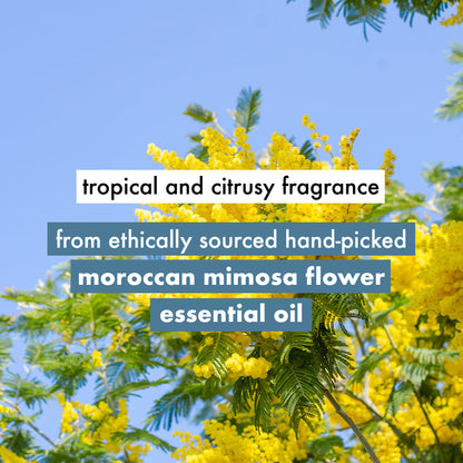 Coconut Water & Mimosa Flower Shampoo