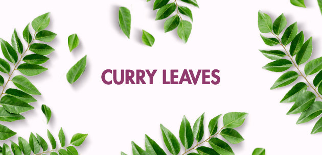 how we source our curry leaves extract