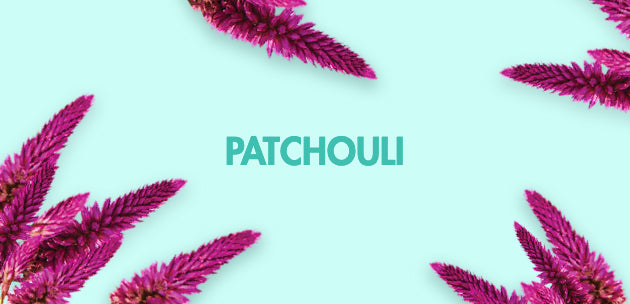 how we source our patchouli