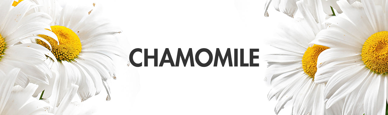 Chamomile