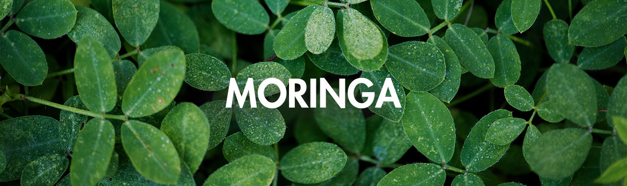 Moringa