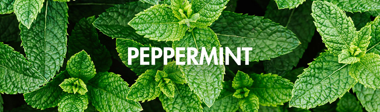 Peppermint