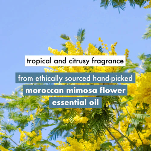 Tropical & Citrusy Fragrance of Coconut Water & Mimosa Flower