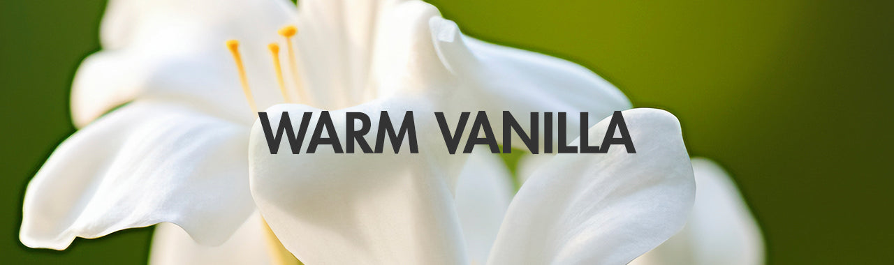 Warm Vanilla